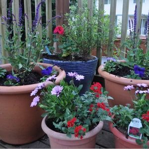 Meet your Posher, Karen